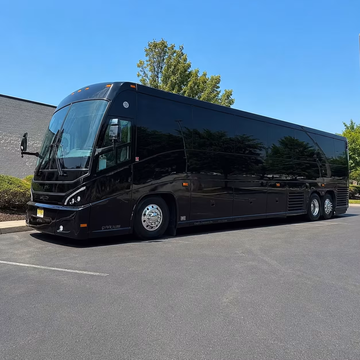 school field trip charter bus rentals in brownsville